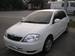 Preview Toyota Corolla Runx
