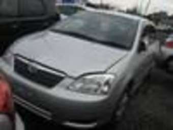 2003 Corolla Runx