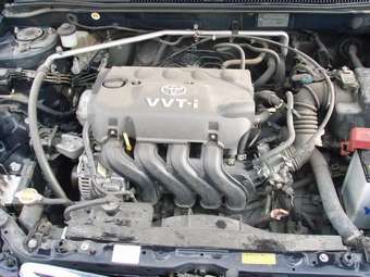 Toyota Corolla Runx