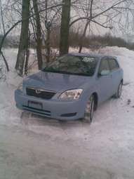 2003 Toyota Corolla Runx Pictures