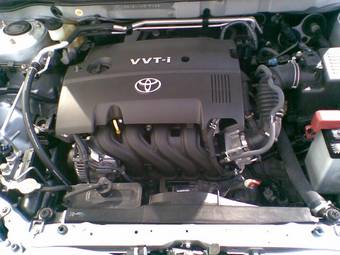 2005 Toyota Corolla Runx Pictures