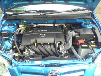 2006 Toyota Corolla Runx Photos