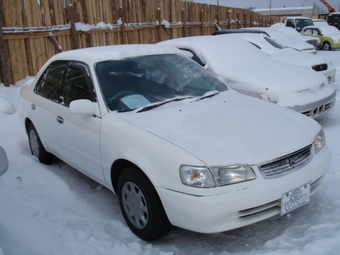 1999 Toyota Corolla Spacio