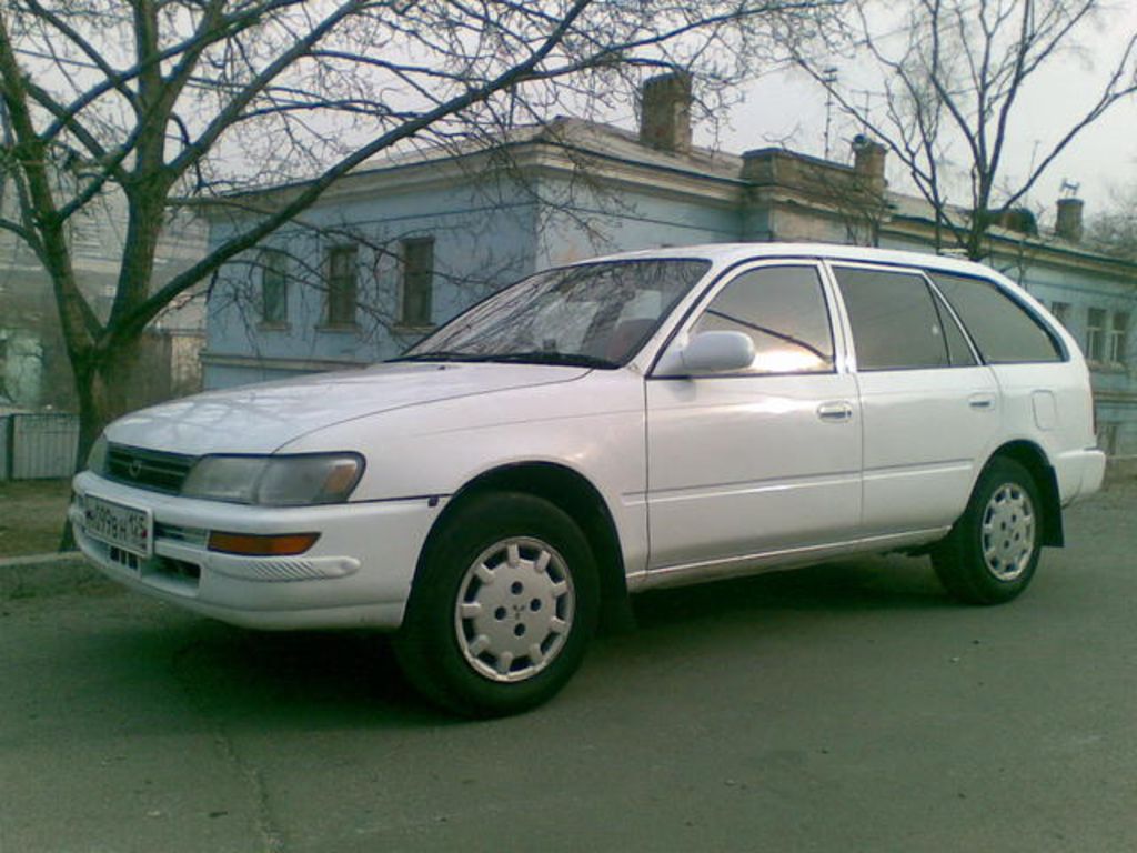 Toyota corolla caravan Toyota corolla caravan