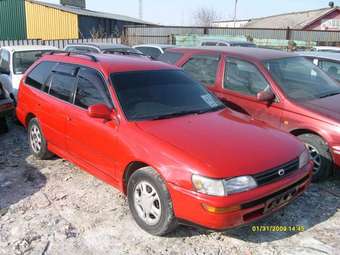 1996 Toyota Corolla Van Pictures