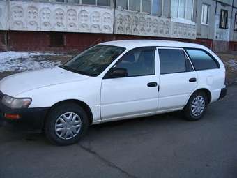 1997 Toyota Corolla Van Pictures