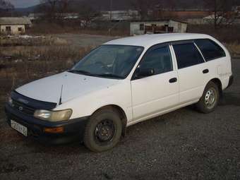 1998 Toyota Corolla Van Pictures