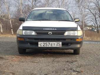 1998 Toyota Corolla Van Photos