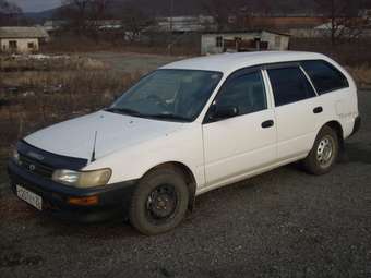 1998 Toyota Corolla Van Photos