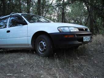 2001 Toyota Corolla Van Pictures