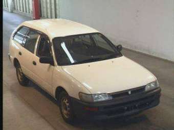 2002 Toyota Corolla Van Pictures