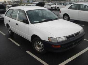 2002 Toyota Corolla Van Photos