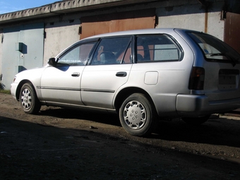 1992 Toyota Corolla Wagon