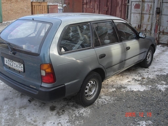 Toyota Corolla Wagon