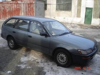 Toyota Corolla Wagon