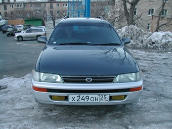 Toyota Corolla Wagon