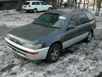 1992 Toyota Corolla Wagon