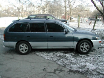 Corolla Wagon