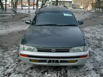 Toyota Corolla Wagon