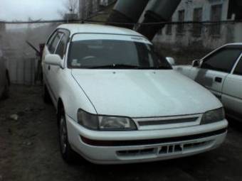 1992 Toyota Corolla Wagon