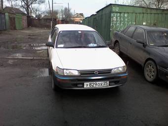 1992 Toyota Corolla Wagon