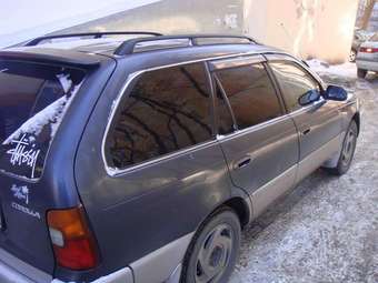 1992 Toyota Corolla Wagon