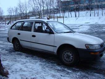 Toyota Corolla Wagon