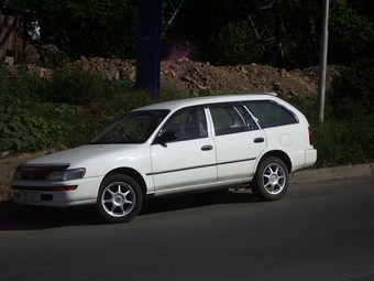 1993 Toyota Corolla Wagon