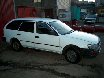 1993 Toyota Corolla Wagon