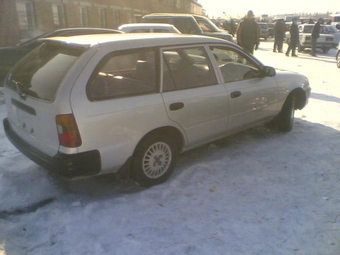 Toyota Corolla Wagon