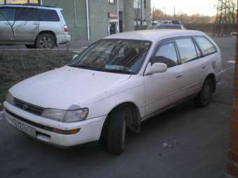 Toyota Corolla Wagon