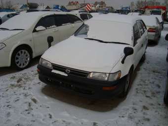 1994 Toyota Corolla Wagon