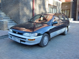 1995 Toyota Corolla Wagon