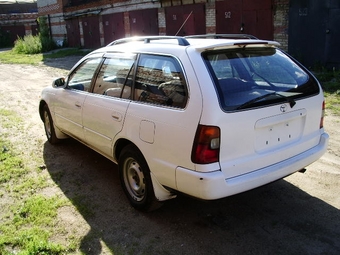 1995 Toyota Corolla Wagon