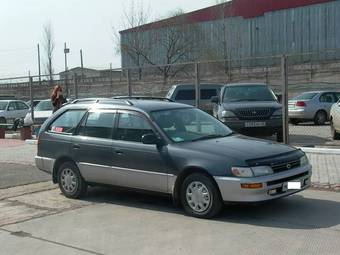 1995 Toyota Corolla Wagon