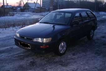 1995 Toyota Corolla Wagon