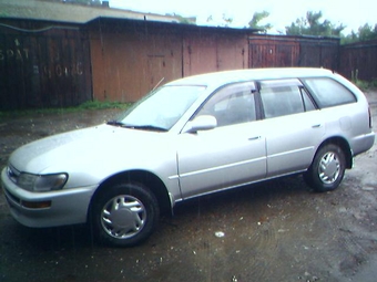 1996 Toyota Corolla Wagon