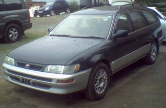 1996 Toyota Corolla Wagon