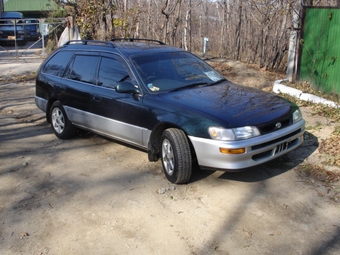 1996 Toyota Corolla Wagon