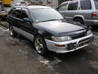 1996 Toyota Corolla Wagon