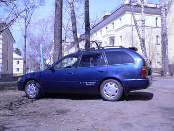 1996 Toyota Corolla Wagon