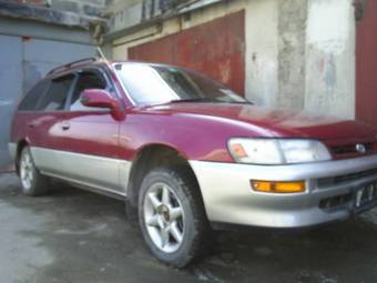 1996 Toyota Corolla Wagon