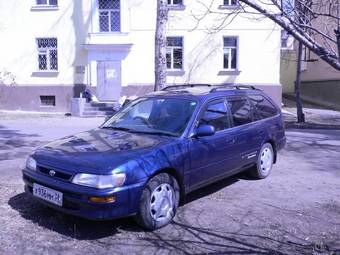 1996 Toyota Corolla Wagon