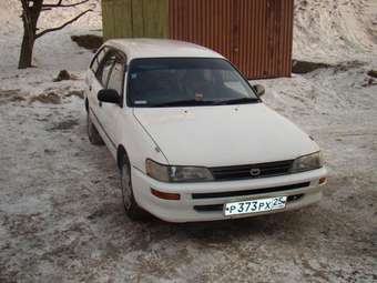 1996 Toyota Corolla Wagon