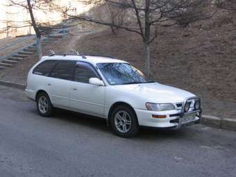 Toyota Corolla Wagon