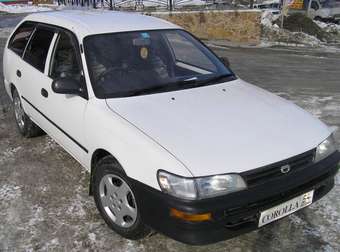 1996 Toyota Corolla Wagon