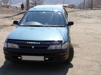 Toyota Corolla Wagon