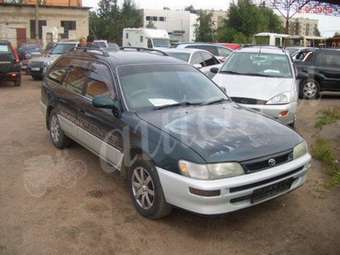 1996 Toyota Corolla Wagon