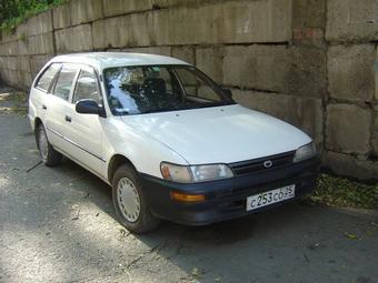 1996 Toyota Corolla Wagon