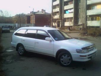 1996 Toyota Corolla Wagon